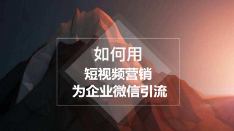 沒技術(shù)，沒流量，沒人帶，我該怎么賺錢？