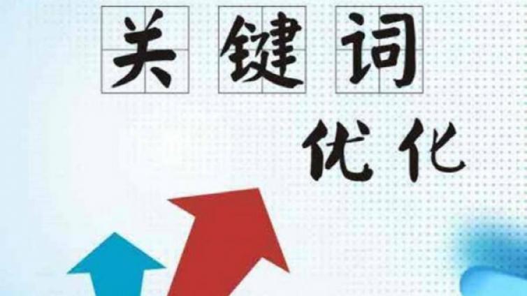 網絡營銷之Seo優(yōu)化的基本知識！