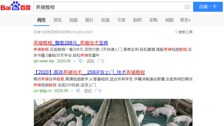 2021年還有哪些暴利的風(fēng)口創(chuàng)業(yè)項目？