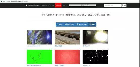CuteStockFootage
