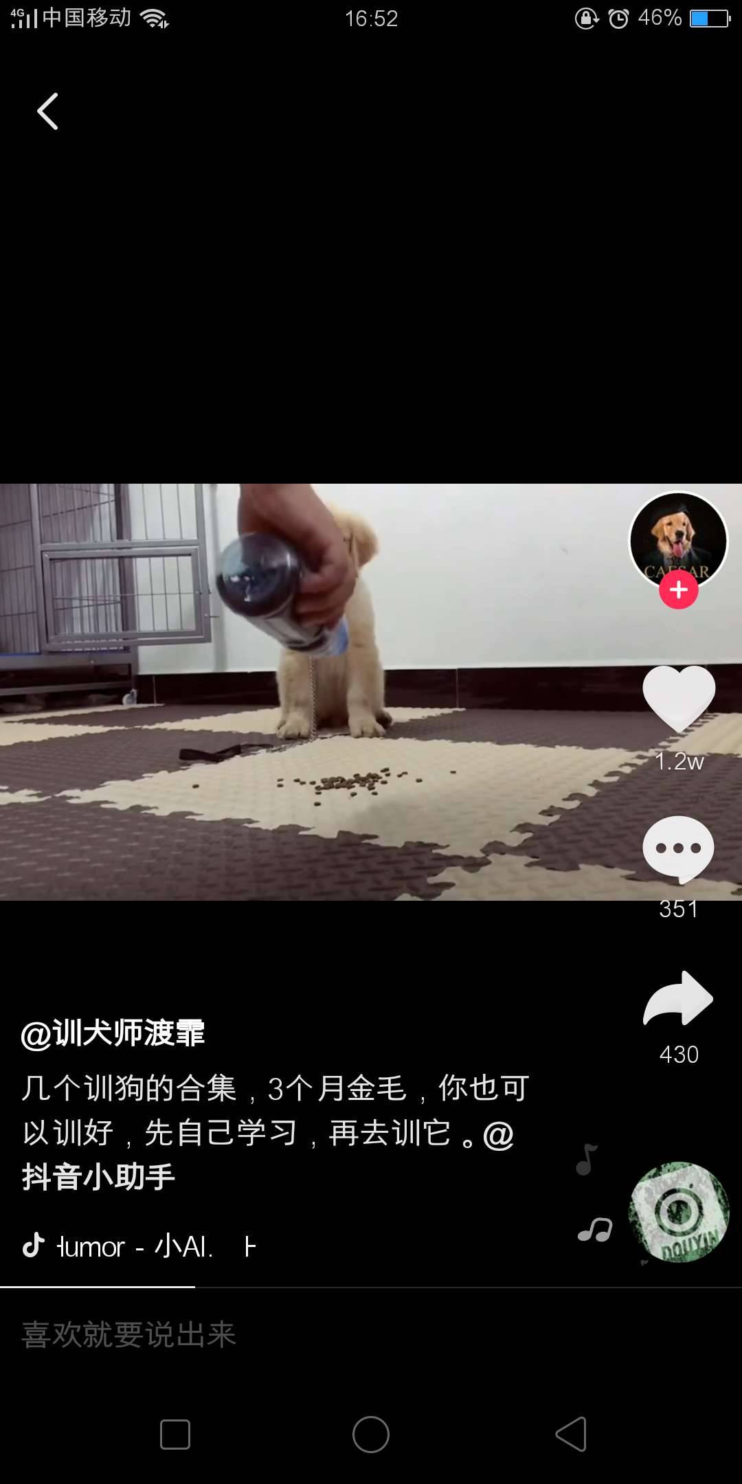 訓(xùn)狗教程