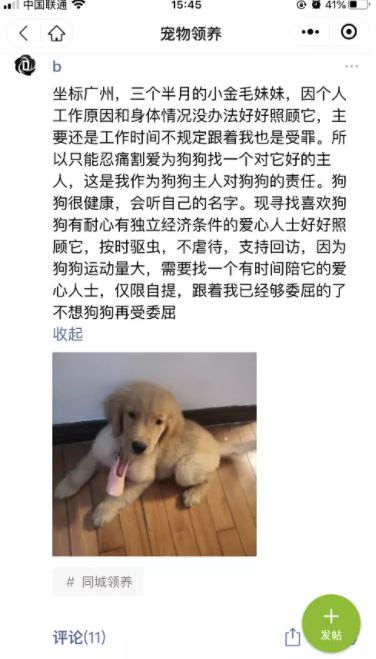 網(wǎng)絡(luò)項(xiàng)目