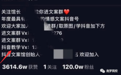 抖音創(chuàng)業(yè)項(xiàng)目