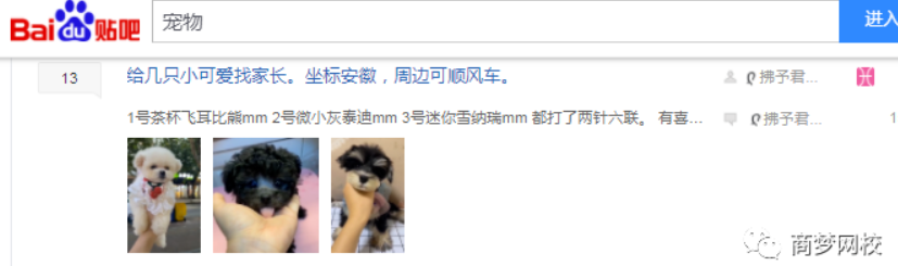 網(wǎng)絡(luò)營銷項目