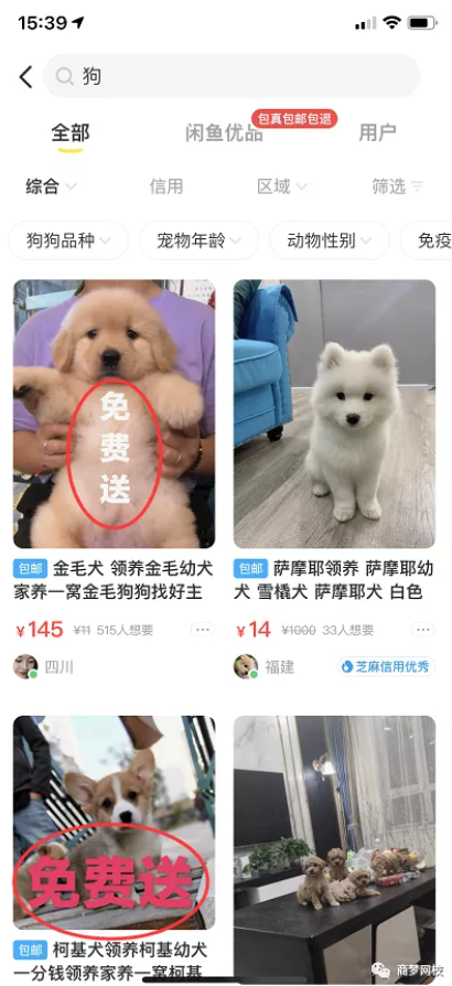 網(wǎng)絡(luò)營銷項目