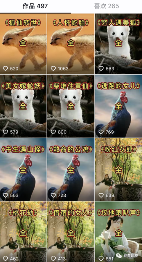 抖音項目